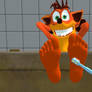 Classic Crash is Amused