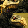 Skeksis Doll 2 head shots