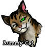 Rummycat