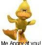 Angry Duckie