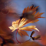 autumn's messenger by prismes