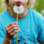 blow II by prismes