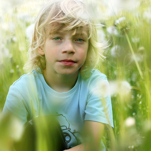 emil in the magic field