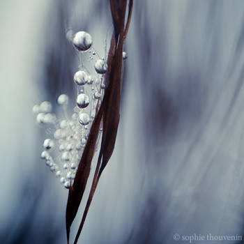 ice and drops by prismes