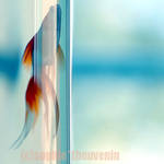 louis is an abstraction II by prismes