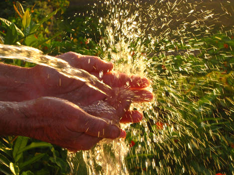 Hands with water