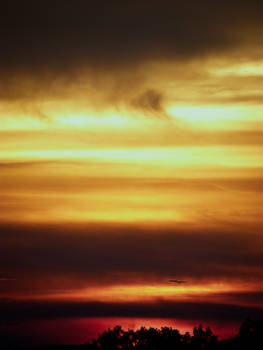 Spur of moment sunset 2