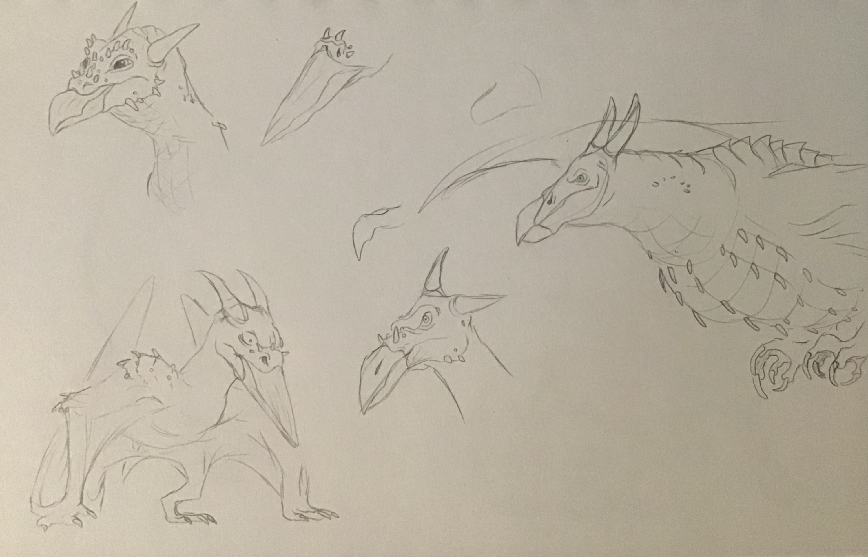 Rodan redesign - Concept Sketches (1/4) by ArtMakerProductions on ...