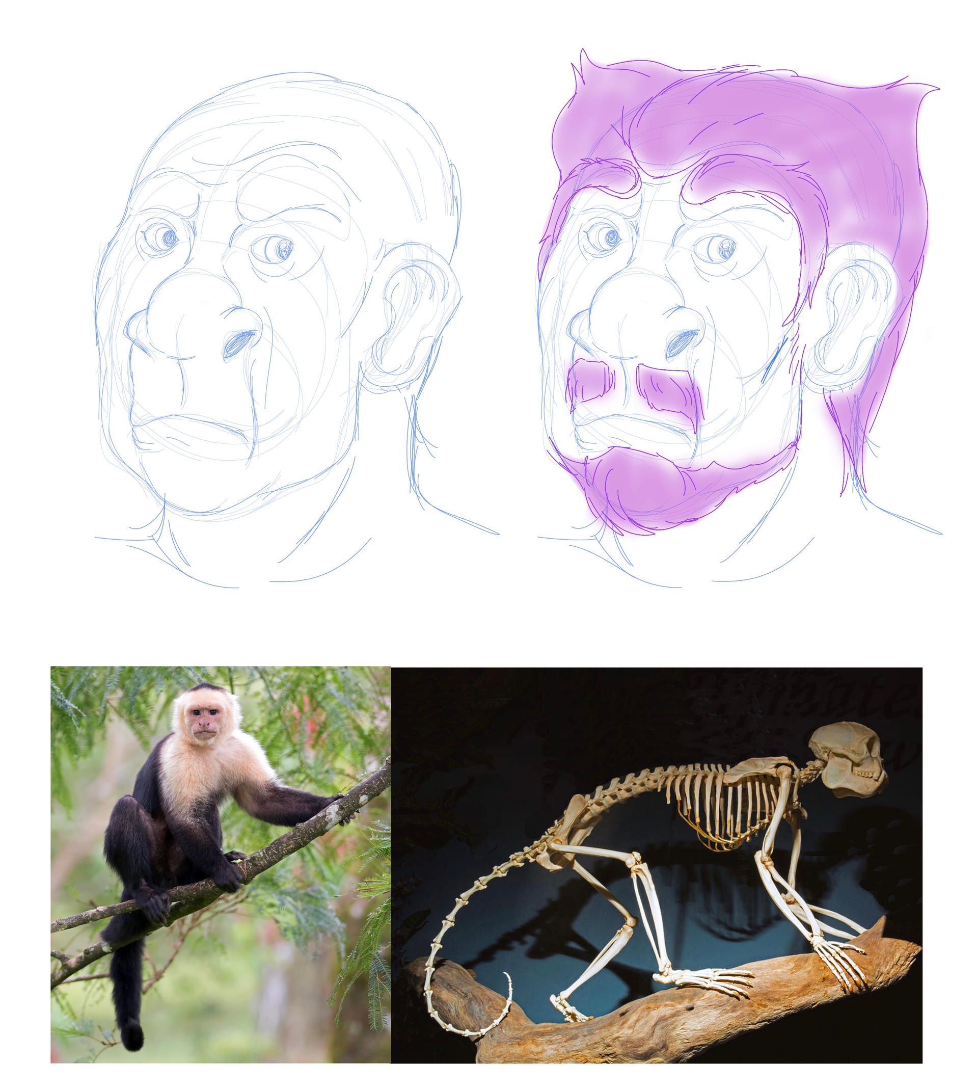 ''Re-Evolved'' Human Pt. 2 by ArtMakerProductions on DeviantArt