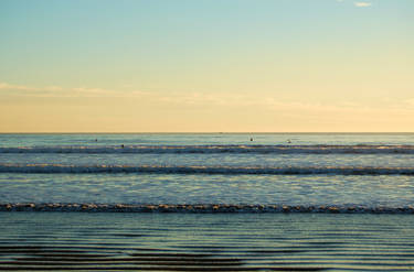 Five Surfers and a Whale