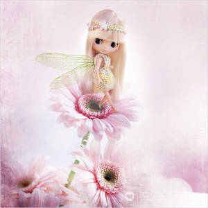 Flower Fairy