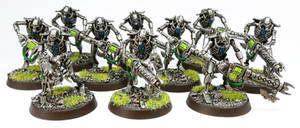 Necron Warriors