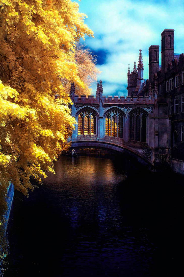 St Johns  College, Cambridge by Liam-diamond