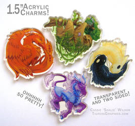 Acrylic Charms