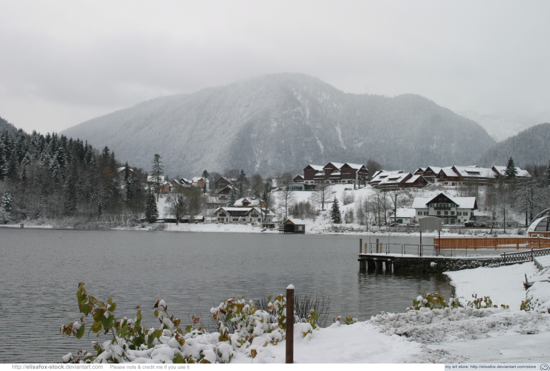 stock winter landscape