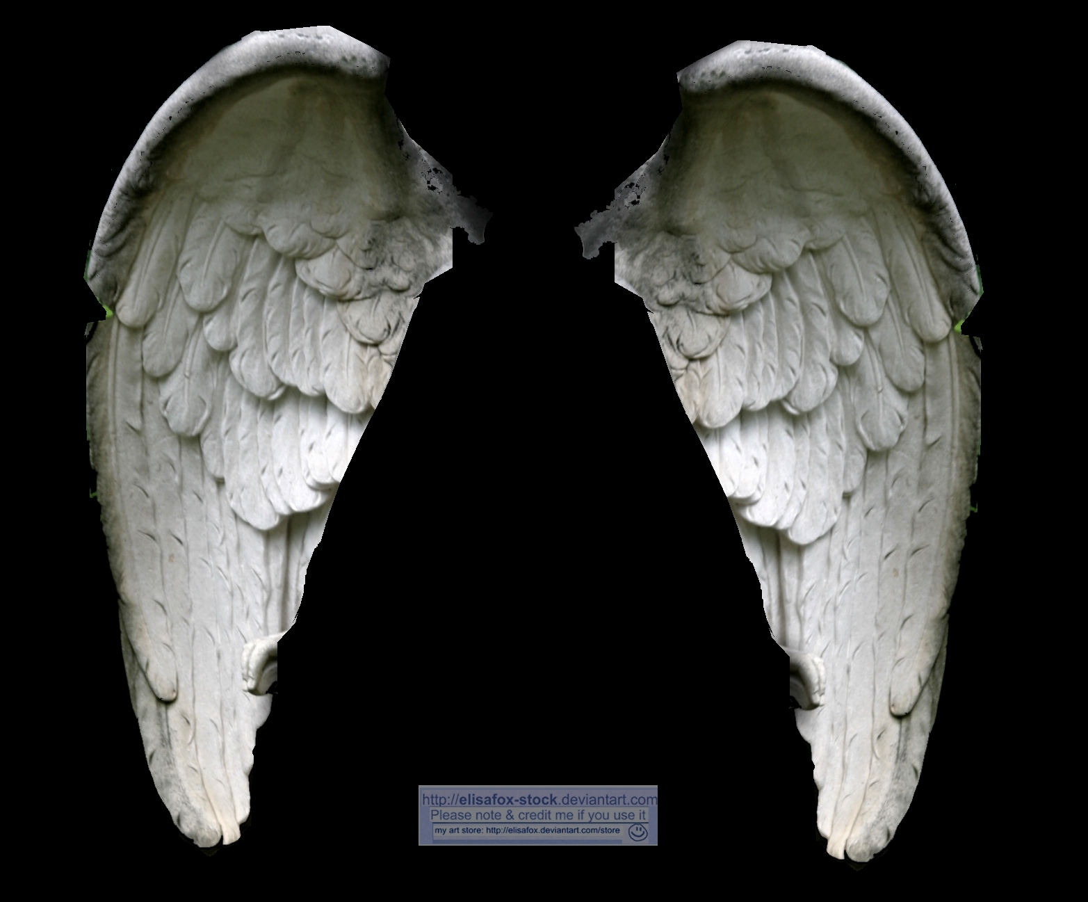 Wings: white angel 01