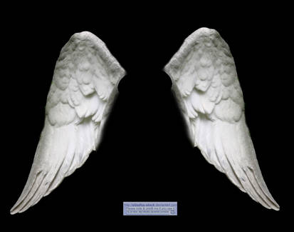 Wings: white angel 02
