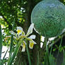 flower and globe