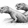 Diictodon