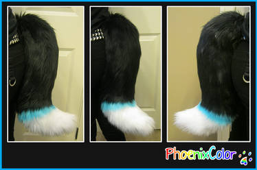 black/turquoise/white canine tail