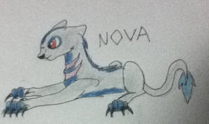 Nova by Pigeon-Butt