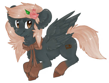 Rad Poni