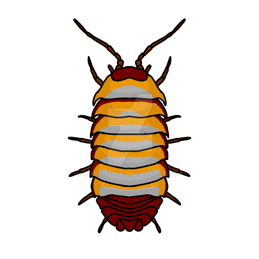 cute roly poly by Markitty15 on DeviantArt