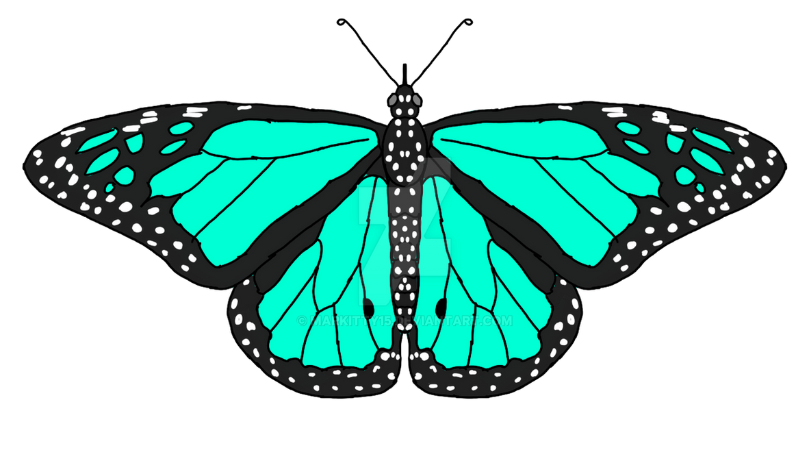 Mint Green Butterfly By Markitty15 On DeviantArt
