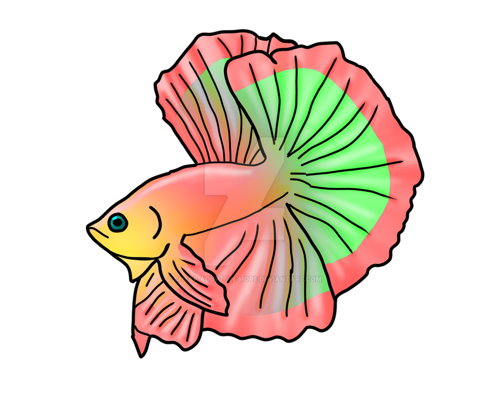 Tuti fruti beta fish by Cheap-Adopts-n-More on DeviantArt