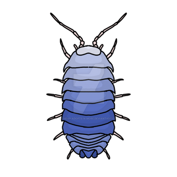 Dibujos para Colorear Aranas by dibujosparacolorear on DeviantArt