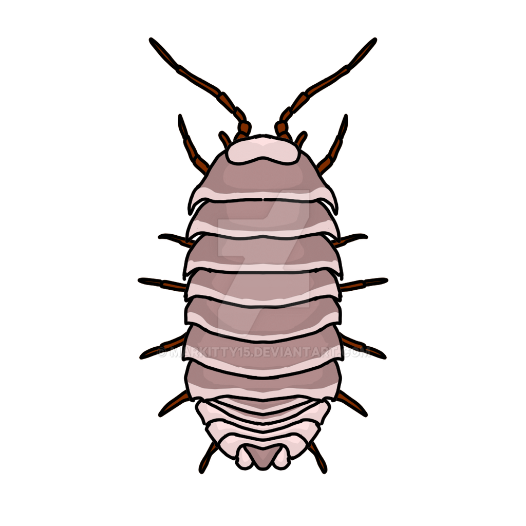 roly poly png by Markitty15 on DeviantArt