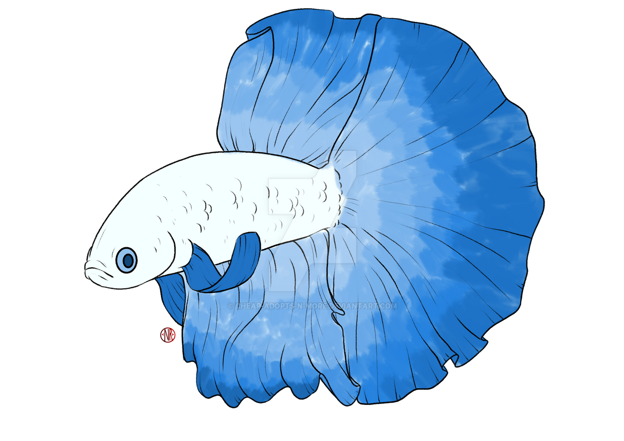 Beta Fish (5) by Cheap-Adopts-n-More on DeviantArt