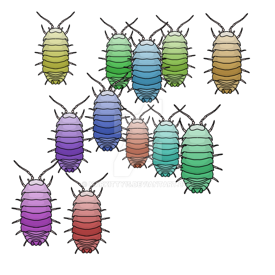 Cool Rolly Poly's Roly polys by Markitty15 on DeviantArt