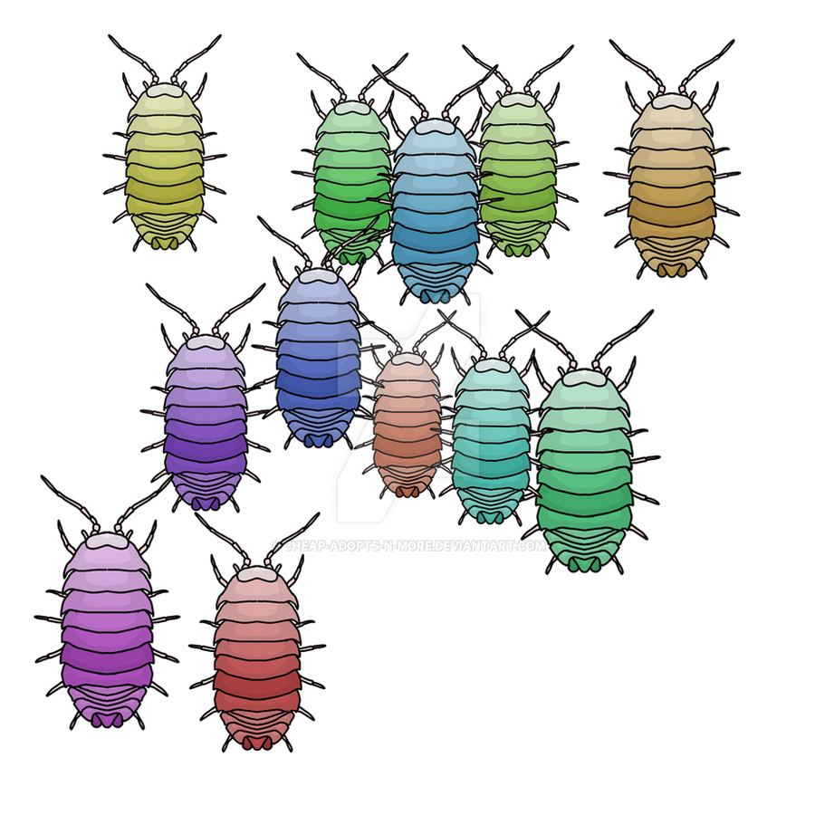Roly polys by Cheap-Adopts-n-More on DeviantArt