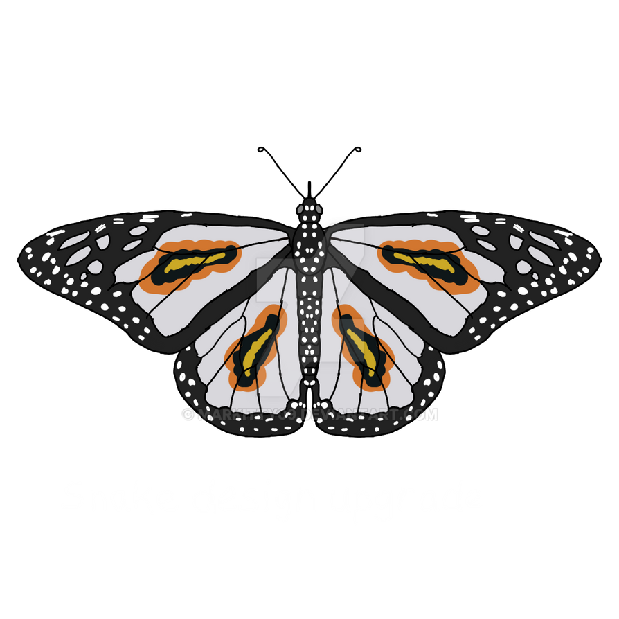 Ball python Female butterfly by Markitty09 on DeviantArt