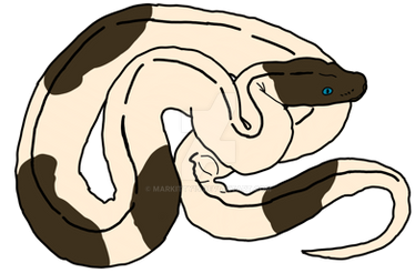 ball python by Markitty15 on DeviantArt