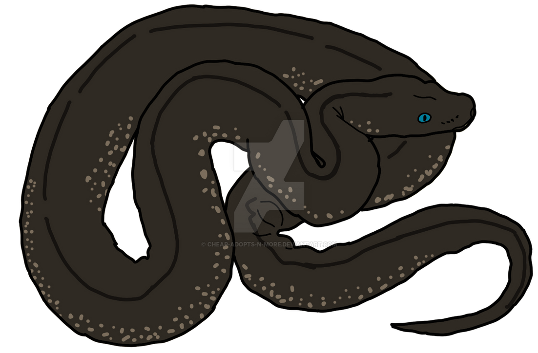 Python 2000 Deviantart Boa Ball Python adopt by Cheap-Adopts-n-More on DeviantArt