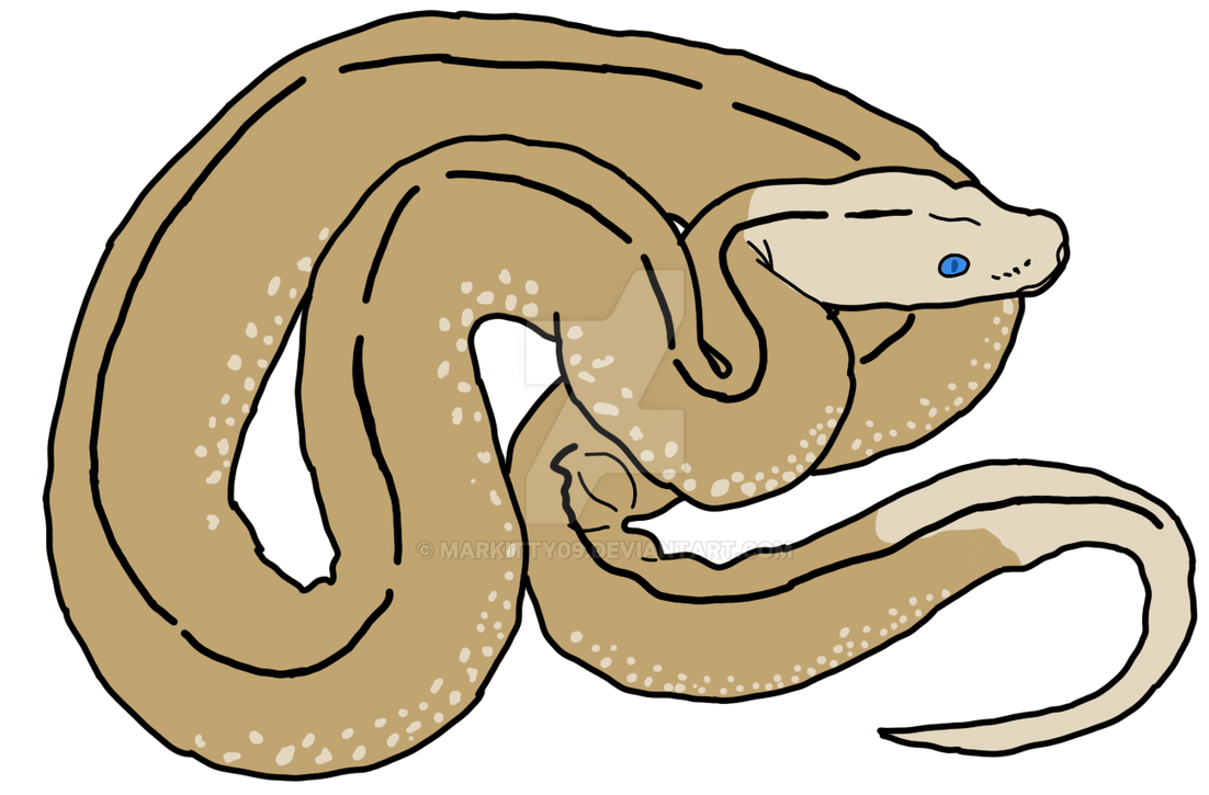 ball python by Markitty09 on DeviantArt