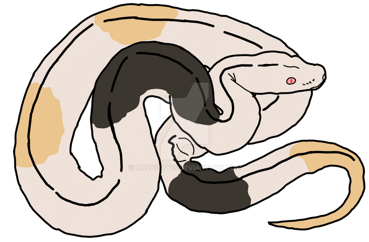 ball python by Markitty15 on DeviantArt