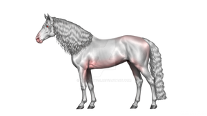Albino Fresian Horse Adopt