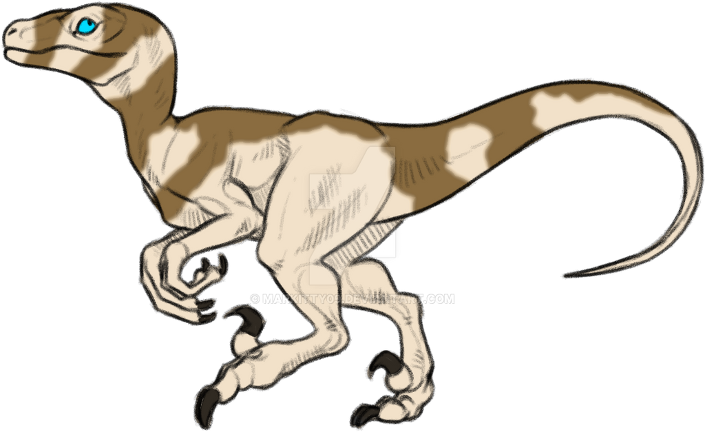 Raptor Adopt by Markitty09 on DeviantArt