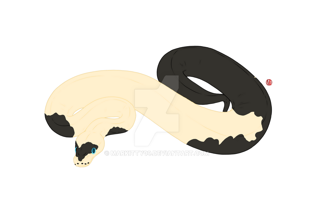 Python Transformation Deviantart Python adopt by Markitty09 on DeviantArt