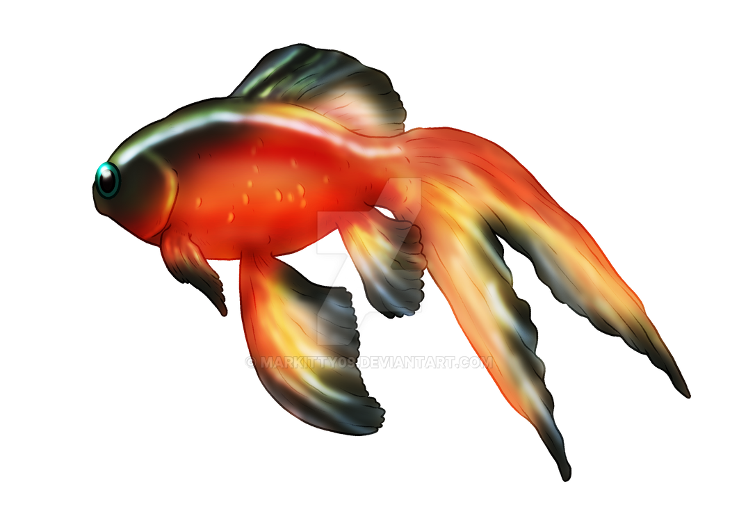 Deviantart 2007 Goldfish Goldfish Adopt by Markitty09 on DeviantArt