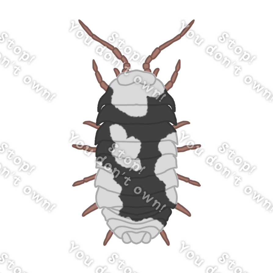 roly Poly Adopt by Markitty09 on DeviantArt