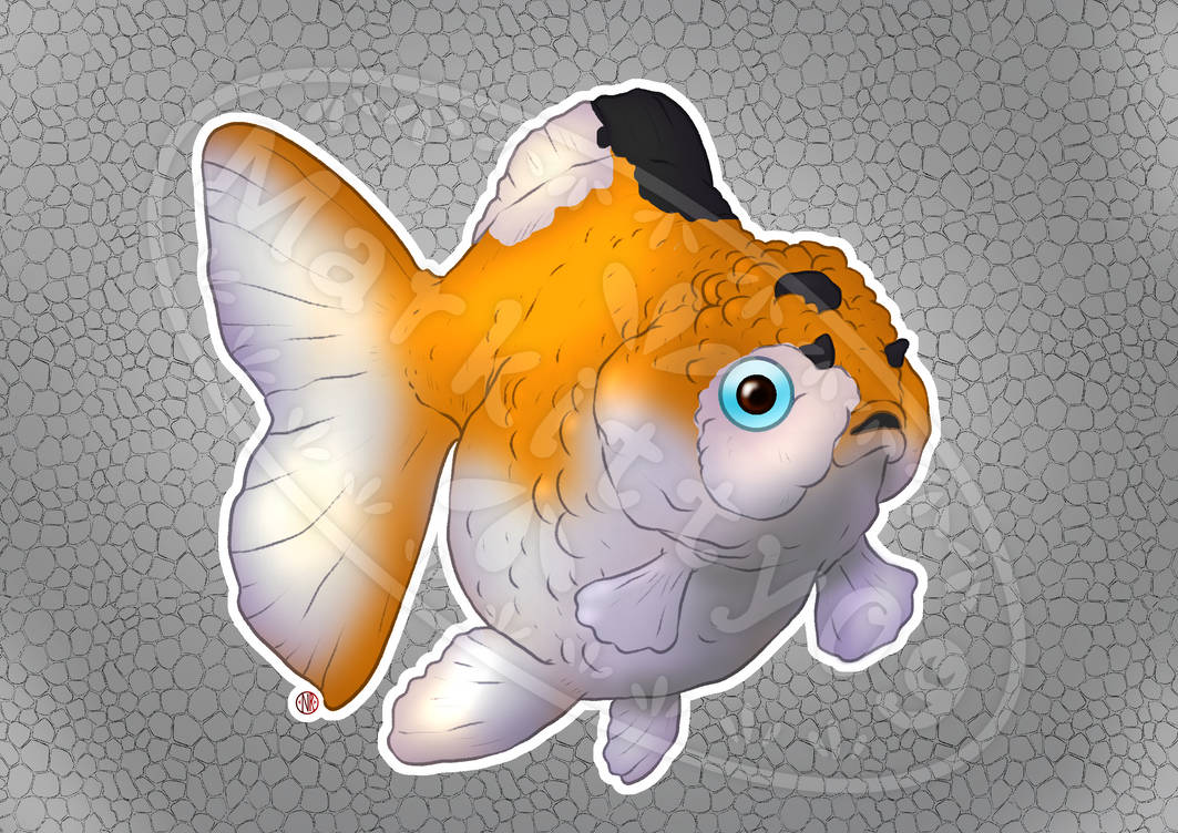 Deviantart 2007 Goldfish Goldfish Adopts by Markitty09 on DeviantArt