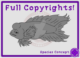 Fish Species Concept (Full Copyrights)