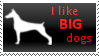 Big Dogs Stamp