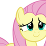 Fluttershy Vector - 10