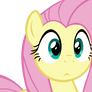 Fluttershy Vector - 11