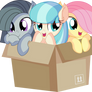 Fluttershy Coco Pommel and Marble Pie - Box